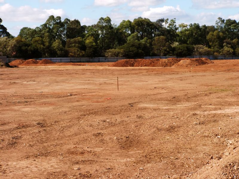 Site Clearing Process